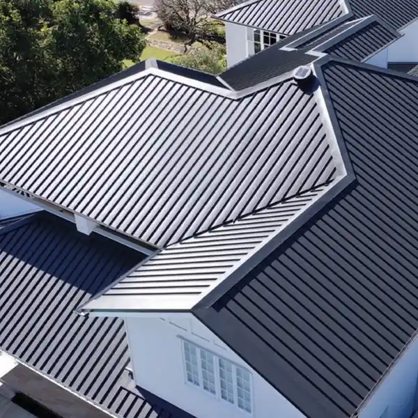 Same-day roof repair Balgowlah