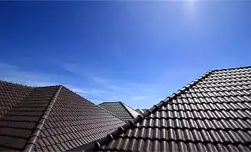 Best roof restoration company Freshwater